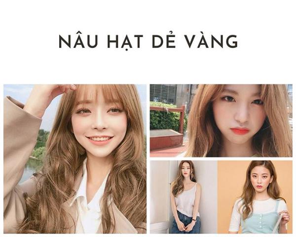 Nâu hạt dẻ: Top 20+ màu tóc đẹp tôn da hot nhất hiện nay - 20